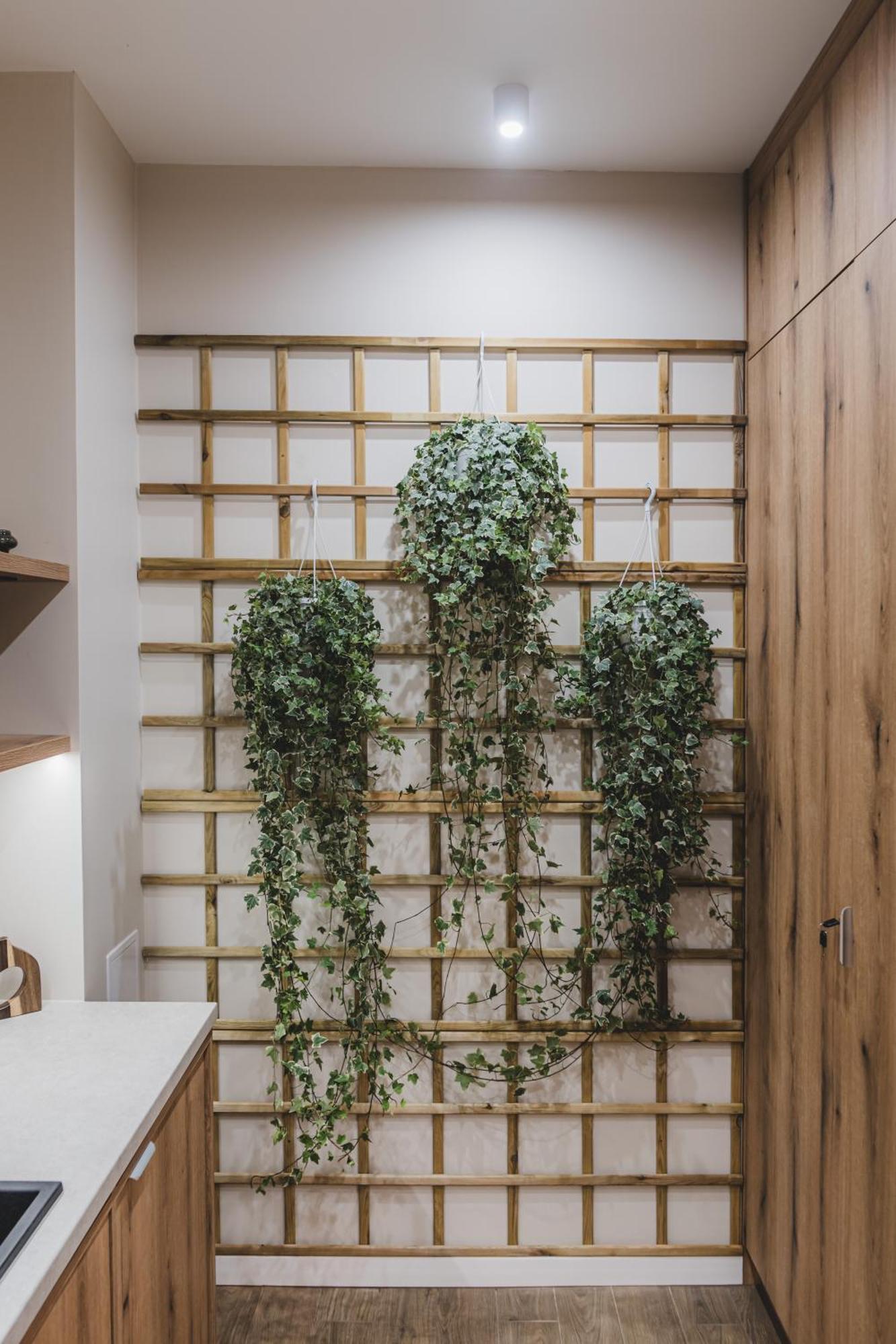 Apartamenty Lazienne Kreacje Stary Toruń Exteriér fotografie